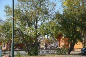 Kletterpark Markkleeberger See Auenhain Leipziger Seen