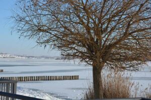 Leipziger Seen Markkleeberger See im Winter an der Ostseite