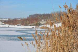 Leipziger Seen Uferzone im Winter am Markkleeberger See