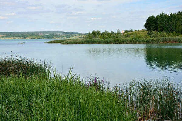 Blick Hainer See Leipziger Seen