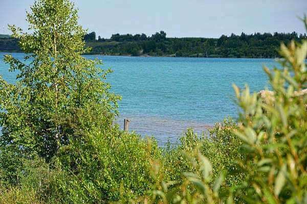 Hainer See Uferzone Leipziger Seen